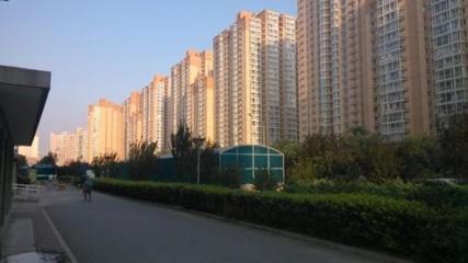 盛世联行 全方位房地产专业咨询服务，赋能资产价值与市场流通